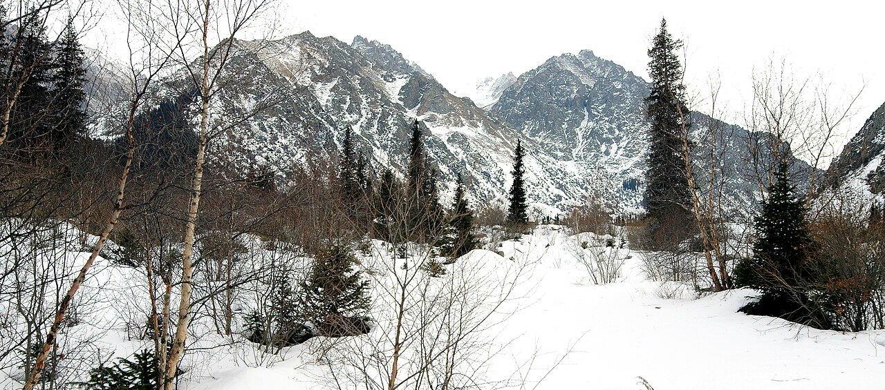 Западная Ала-Арча