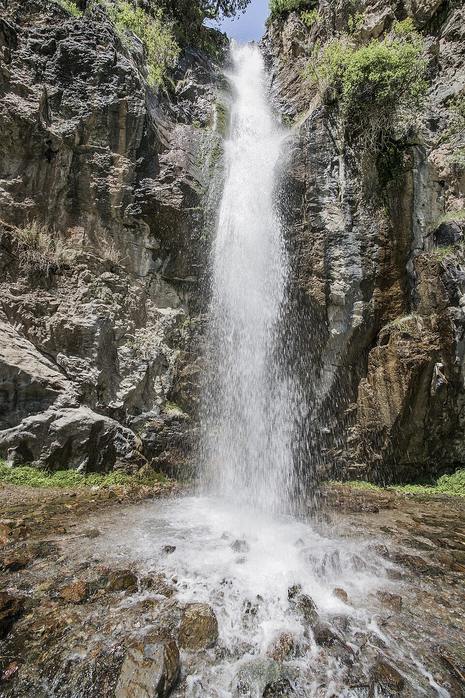 Лес