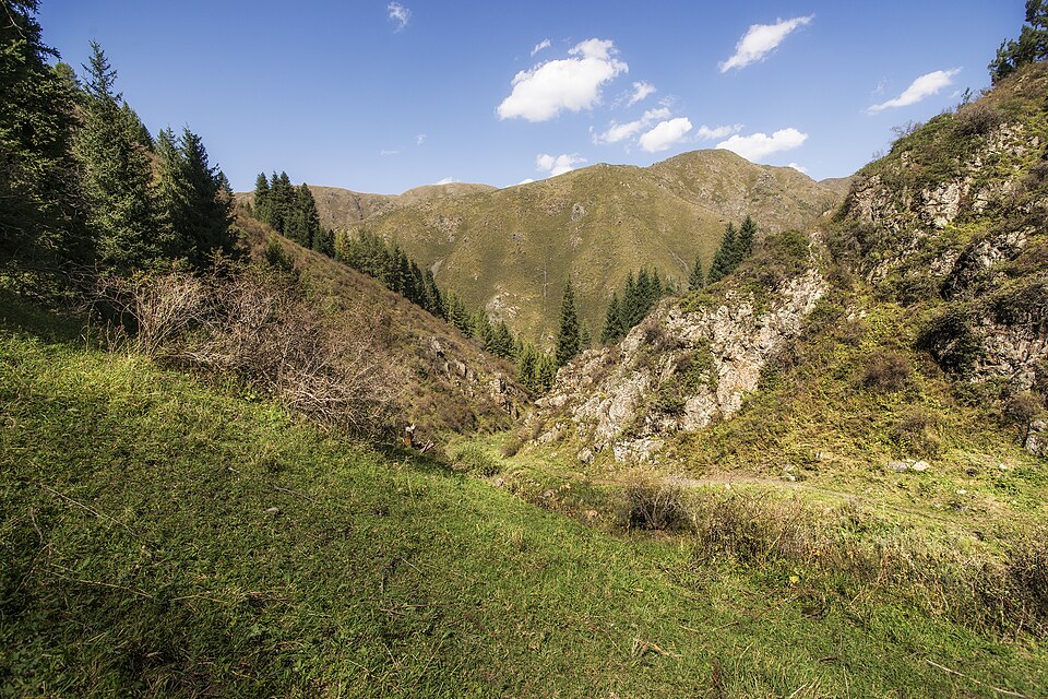 Река